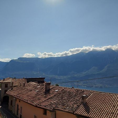 Ulivi Sul Garda Garden By Gardadomusmea Apartment Tremosine Exterior foto