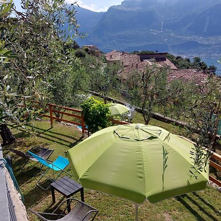 Ulivi Sul Garda Garden By Gardadomusmea Apartment Tremosine Exterior foto