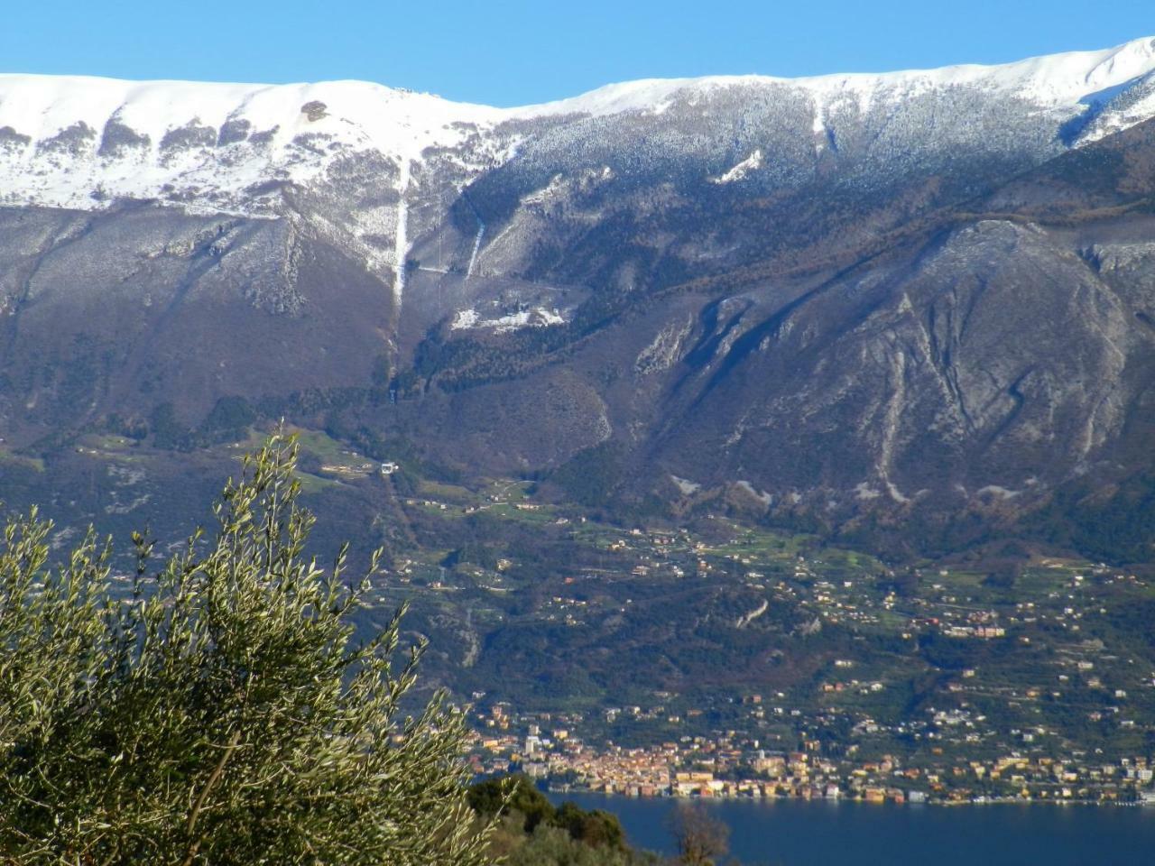 Ulivi Sul Garda Garden By Gardadomusmea Apartment Tremosine Exterior foto