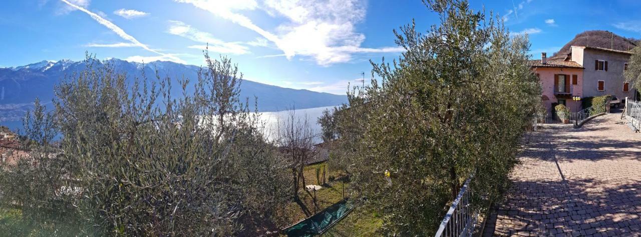 Ulivi Sul Garda Garden By Gardadomusmea Apartment Tremosine Exterior foto